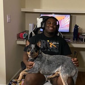 Meet your Posher, Phillip